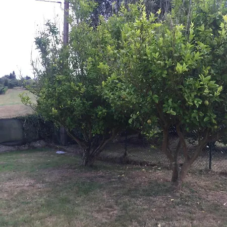 Nyaraló Casina Meri