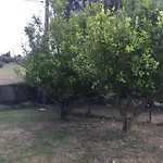 Holiday home Casina Meri